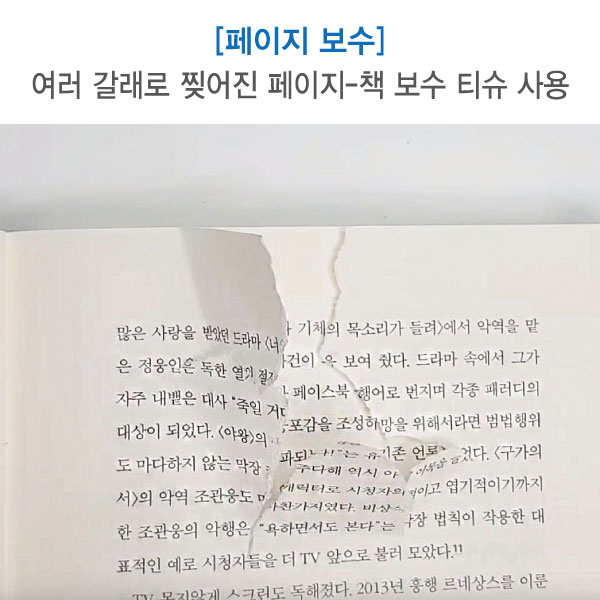 여러 갈래로 찢어진 페이지 보수 세트 (책 보수 티슈) 에스지코리아