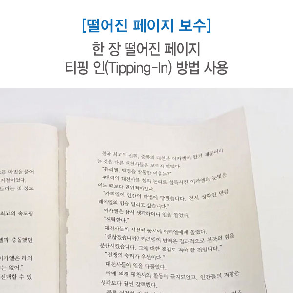 한 장 떨어진 페이지 보수 세트 (티핑 인 방법) 에스지코리아