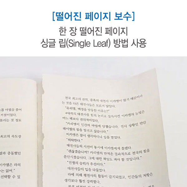 한 장 떨어진 페이지 보수 세트 (싱글 립 방법) 에스지코리아