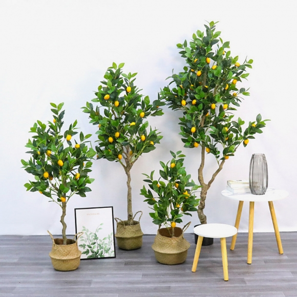 레몬나무 조화(150cm) (주)트리