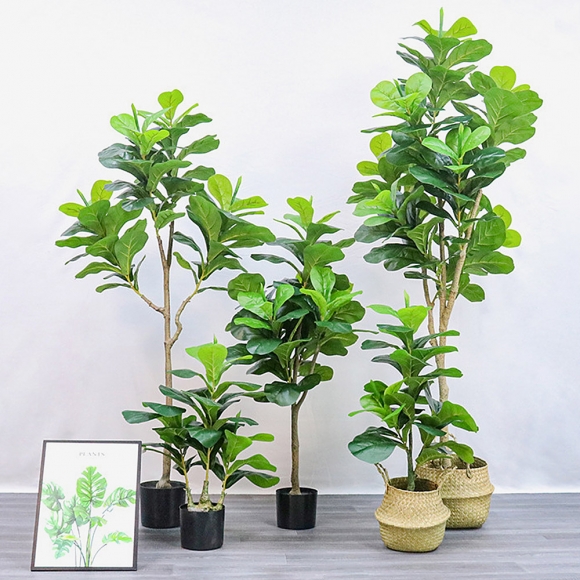 떡갈잎 고무나무 조화(150cm) (주)트리
