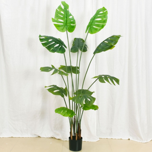 몬스테라 조화(180cm) (주)트리