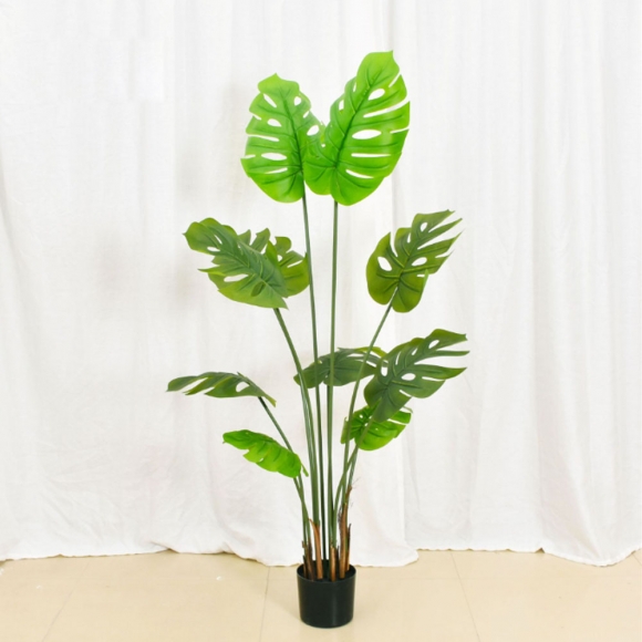 몬스테라 조화(150cm) (주)트리