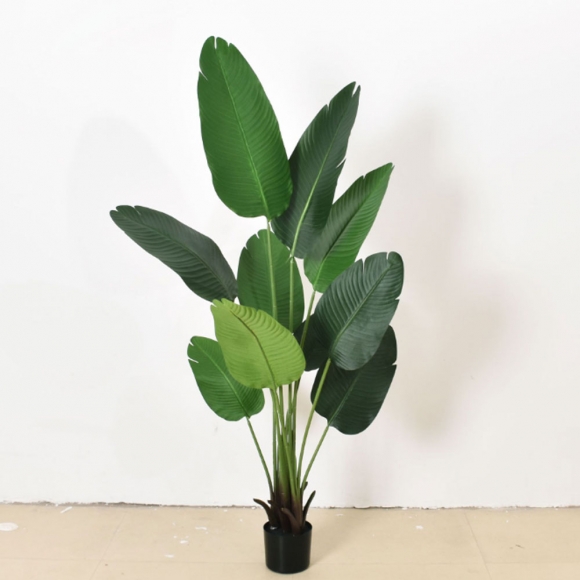 여인초 조화(150cm) (주)트리
