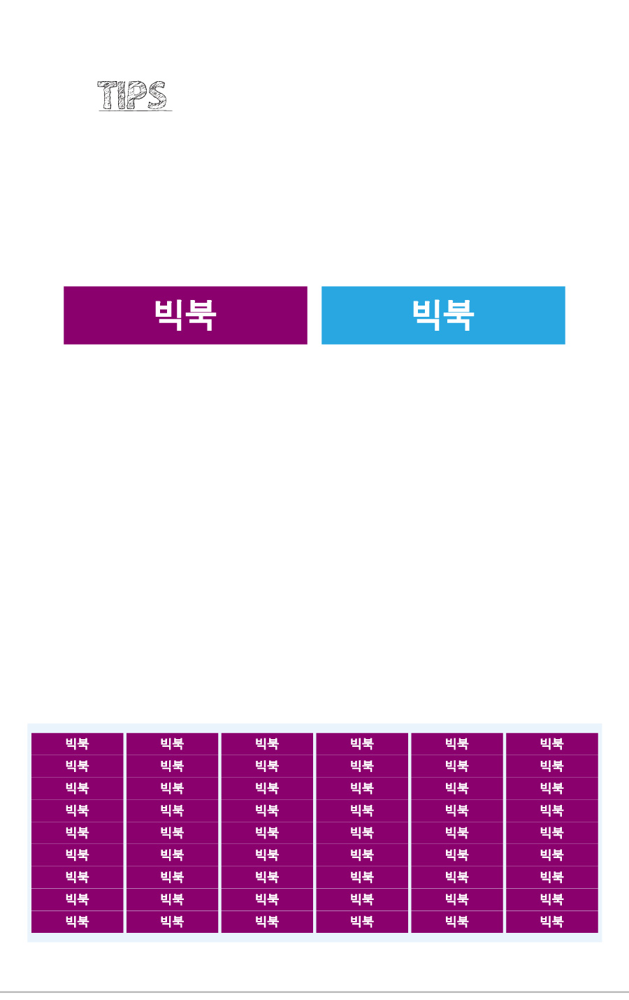 문자띠라벨_빅북_PVC4210_상세