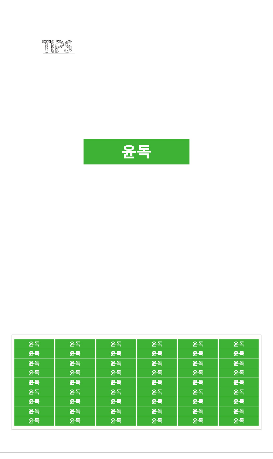 문자띠라벨_윤독_PVC4210_상세